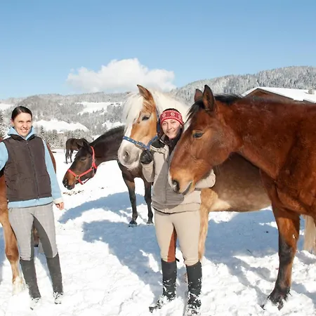 מלון & Alpin Der Wastlhof 4*