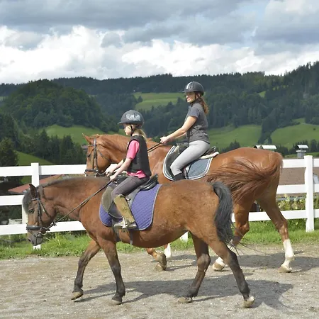 Der Wastlhof - Direkt An Der Skipiste Wellness & 4* Niederau