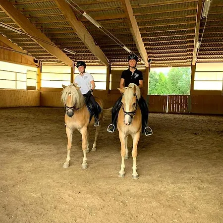 Der Wastlhof - Pools, & Eigene Reitschule Отель 4*
