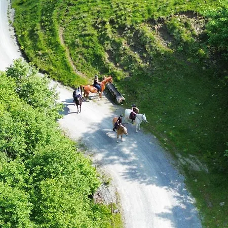 & Alpin Der Wastlhof نيديراو