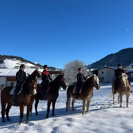 Der Wastlhof - Pools, & Eigene Reitschule