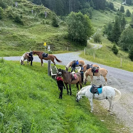 Der Wastlhof - Direkt An Der Skipiste Wellness & 4* Niederau