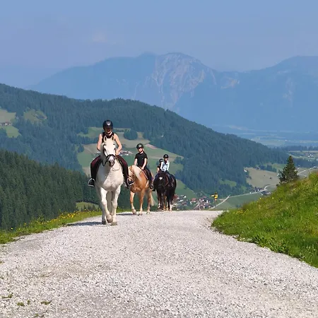 Der Wastlhof - Direkt An Der Skipiste Wellness & Hotell 4*