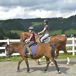 Hotel Der Wastlhof - Reiten, Wellness & Aktivurlaub In Den Bergen 4* Niederau